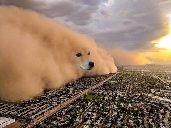 A massive dust storm looms over a sprawling city, with a dog's face humorously edited into the cloud formation, symbolizing the unpredictability of "Dogecoin tips" being "coming" — a playful warning that crypto rewards may be on the horizon.