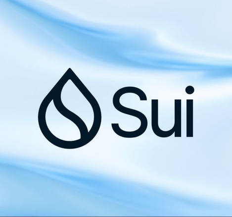 The image displays the Sui blockchain logo—a stylized water droplet icon next to the word "Sui"—set against a flowing blue silk-textured background, visually reinforcing the post's bullish sentiment that $SUI is the top crypto choice.