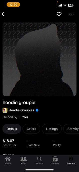A screenshot from an NFT marketplace app showing a digital art piece titled 'hoodie groupie' owned by the user, listed with a best offer of $18.67.