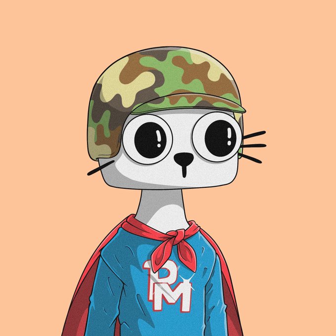A cartoon illustration of a character resembling a white cat with large round eyes, wearing a camouflage helmet, a blue shirt with 'RM' in white letters, and a red bandana/cape, set against a peach-colored background.