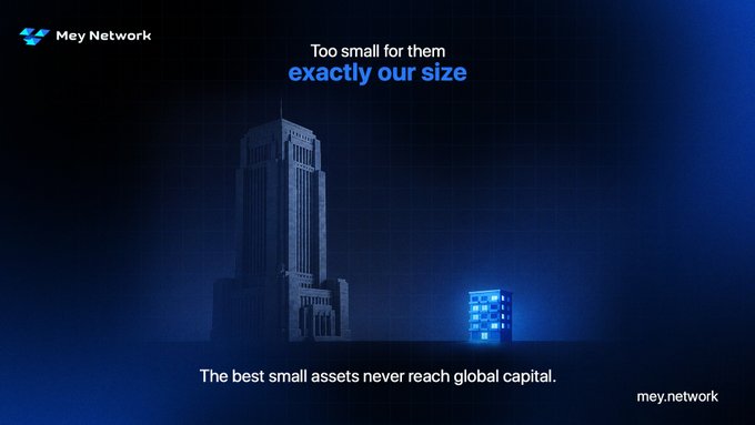 A dark blue image showing a large skyscraper silhouette beside a tiny glowing apartment building, with text reading "Too small for them exactly our size" and "The best small assets never reach global capital," branded with the Mey Network logo and "mey.network." The visual contrast between the towering institution and the small residential building illustrates the post's point about institutional capital overlooking small-scale real estate assets.