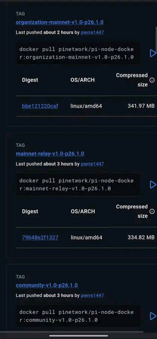 Docker Hub listing showing pi-node-docker image tags including organization-mainnet-v1.0-p26.1.0, mainnet-relay-v1.0-p26.1.0, and community-v1.0-p26.1.0 with Linux/amd64 digests.
