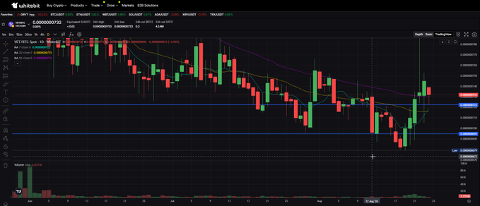 A candlestick chart on WhiteBit displaying the VET/BTC trading pair, with VET priced at 0.0000000732 against BTC and a 7.68% gain shown, featuring moving average lines and a recent strong bullish rally from the 7 satoshis bottom level noted in the post.