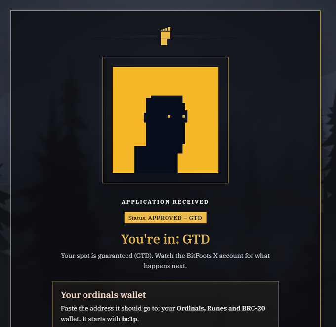 BitFoots application confirmation screen showing 'APPLICATION RECEIVED' with status 'APPROVED - GTD' and 'You're in: GTD' message, instructing users to paste their Ordinals wallet address starting with bc1p.