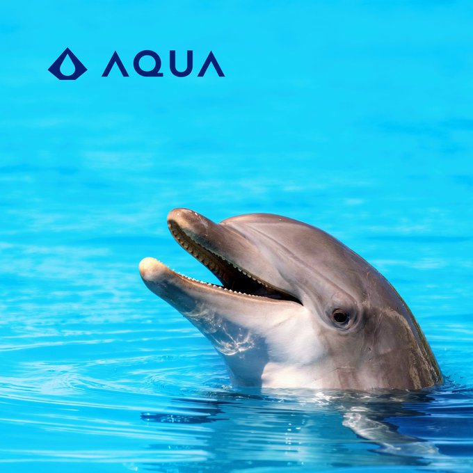 A bottlenose dolphin with its mouth open surfaces in bright blue water, with the word "AQUA" and a water drop logo displayed in the upper left corner.