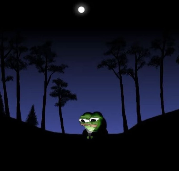A meme image showing the 'Dat Boi' Pepe the Frog character standing in a dark forest at night under a full moon.