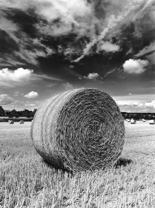 A black and white photograph shows a large round hay bale in the foreground of a harvested field, with additional bales and dramatic clouds in the distance.