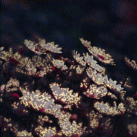 The image features a close-up view of white flowers with yellow centers, creating a visually striking contrast against each other. The flowers are arranged in various positions within the frame, some overlapping while others stand alone. The background appears dark, which further accentuates the brightness and vividness of the flowers. The image is accompanied by a caption that reads "\\_sold out_// massive thank you to everyone that collected!! @absurdeity @SecretariYat @halving_fun @DtheletterD @ex_mortal_ I appreciate every one of you!".