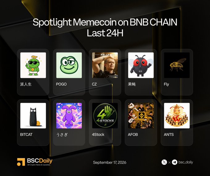 A BSC Daily graphic titled "Spotlight Memecoin on BNB CHAIN Last 24H" dated September 17, 2026, featuring meme tokens including 派人生, POGO, CZ, 果蝇, Fly, BITCAT, うさぎ, 4Stock, AFOB, and ANTS.