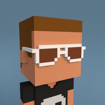 A 3D voxel/Minecraft-style portrait of a character with brown hair, wearing white pixelated sunglasses and a black shirt against a blue background.