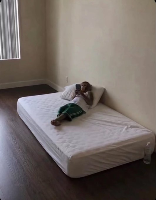 A monkey lounges on a mattress in an empty room, casually using a smartphone, while a water bottle sits nearby on the floor. The image humorously mirrors the post's self-deprecating crypto slang "verified exit liquidity" by depicting a monkey — slang for an inexperienced trader — blissfully scrolling, embodying someone who unknowingly buys the top before a crash.