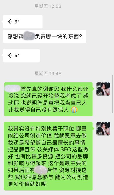 A screenshot of a WeChat conversation in Chinese, showing a user's enthusiastic reply in green text bubbles thanking the sender and discussing their role in branding, public relations, media, and SEO.