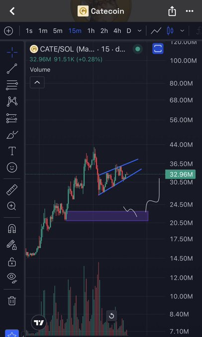 A 15-minute candlestick chart of CATE/SOL (Catecoin) on TradingView shows volume at 32.96M and price at $91.51K (+0.28%), with an ascending parallel channel drawn around recent price action indicating a potential bull flag formation. The chart aligns with the post's observation, as price action is consolidating within the channel after a prior uptrend, setting up for a possible bounce if the pattern resolves upward.