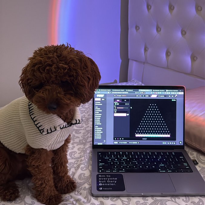 A brown curly-haired dog in a knit sweater sits next to an open laptop on a bed; the laptop screen shows code, and a sticker reads 'Gm to everyone but Gary Gensler.'