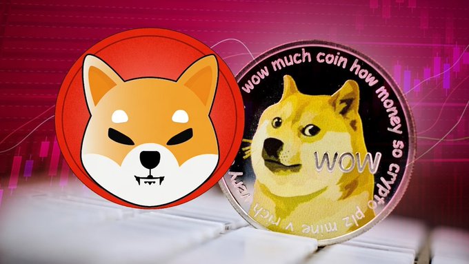 The image features two iconic memecoins side by side: the Shiba Inu logo (representing $SHIB) on a red circular background and a physical Dogecoin ($DOGE) coin with the classic Shiba Inu dog and the playful text "wow much coin how money so crypto plz mine v rich." The image directly relates to the post by visually representing the two rival memecoins, $DOGE and $SHIB, prompting viewers to choose which one they're most bullish on.