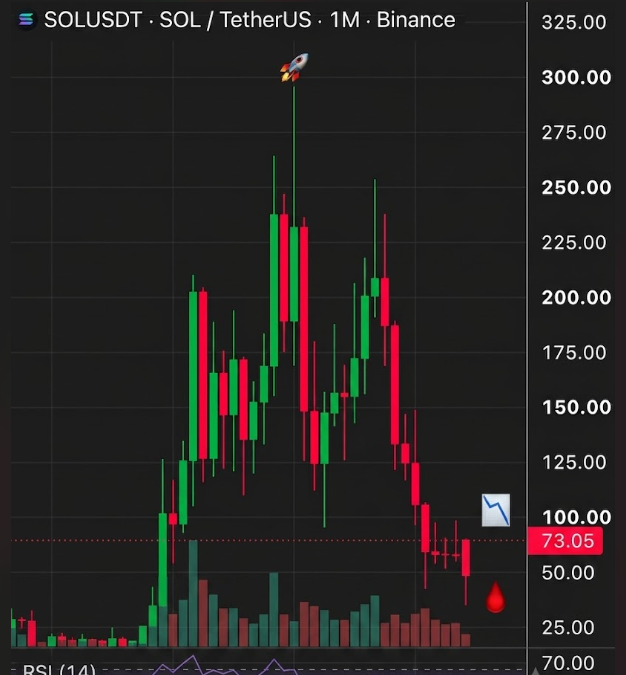 A candlestick chart of SOLUSDT (SOL/TetherUS) on Binance with a 1-month timeframe shows a price peak around $295 followed by a sustained decline to $73.05, illustrating the 10 consecutive months of merciless dumping referenced in the post.