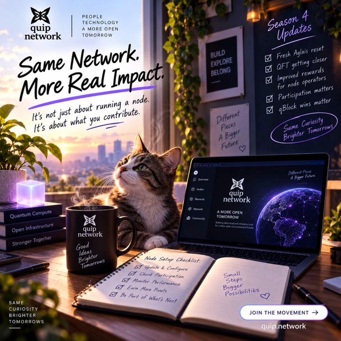A promotional graphic for Quip Network features a tabby cat beside a coffee mug and laptop, with text reading 'Same Network. More Real Impact' and 'Season 4 Updates' listing changes including Fresh Aglais reset, QFT getting closer, improved rewards, and participation matters.