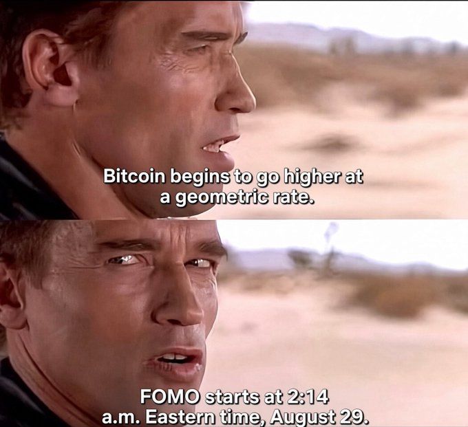 A two-panel meme using screenshots of Nicolas Cage from a movie (likely Raising Arizona), with text reading 'Bitcoin begins to go higher at a geometric rate' on top and 'FOMO starts at 2:14 a.m. Eastern time, August 29' on the bottom.