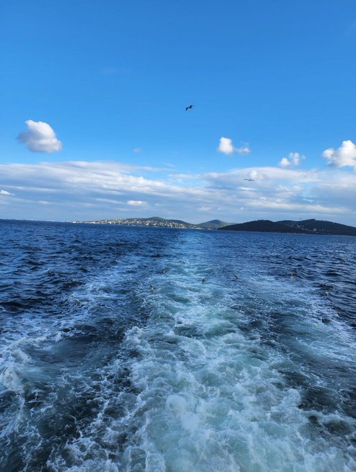 The wake of a boat churns through blue ocean water, with a distant coastline and a bird flying under a partly cloudy sky.