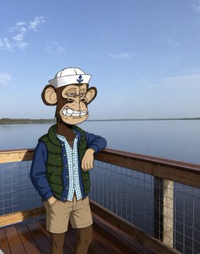 An illustration of a stylized monkey character wearing a white cap, sunglasses, a plaid shirt, and a green vest, leaning against a wooden railing by the sea.