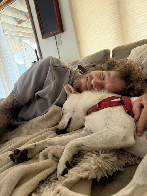 A man with curly hair and a tattooed arm cuddles a sleeping white dog on a couch under a soft blanket, perfectly embodying the warm, relaxed vibe of a "grand rising" from a fellow degen.