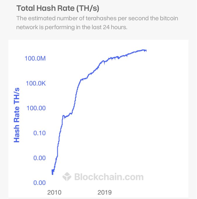A line graph from Blockchain.com displays the 'Total Hash Rate (TH/s)' of the bitcoin network over time, with the y-axis showing values from 0.00 to 100.0M and the x-axis ranging from 2010 to 2019.
