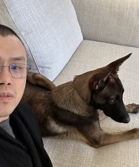 A selfie of a man wearing glasses sitting next to a brown German Shepherd dog on a light-colored couch.