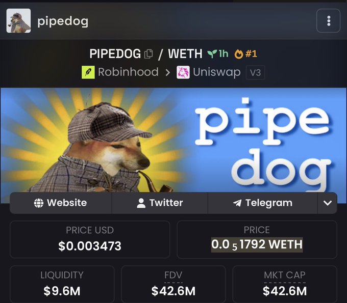 The image shows a cryptocurrency trading page for the token "PIPEDOG" (PIPEDOG/WETH pair) listed on Robinhood via Uniswap V3, with a price of $0.003473, market cap of $42.6M, and liquidity of $9.6M, featuring a cartoon dog in a hat and plaid shirt as its mascot. This aligns with the post's confusion about the obscure meme token's surprising price surge, as the stats suggest significant momentum behind this seemingly random dog-themed coin.