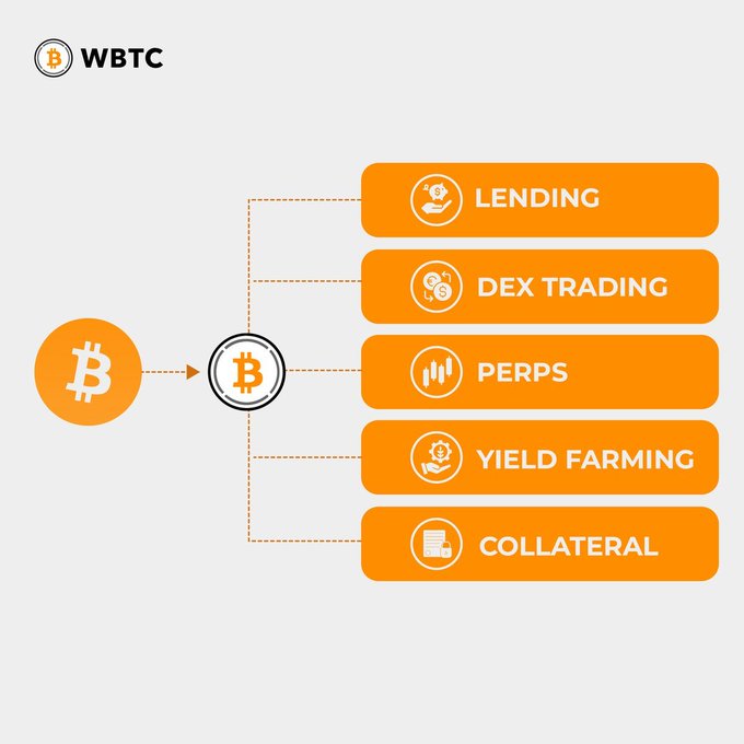 An orange and gray diagram showing Bitcoin (₿) flowing into a WBTC token, which then branches into Lending, DEX Trading, Perps, Yield Farming, and Collateral use cases.