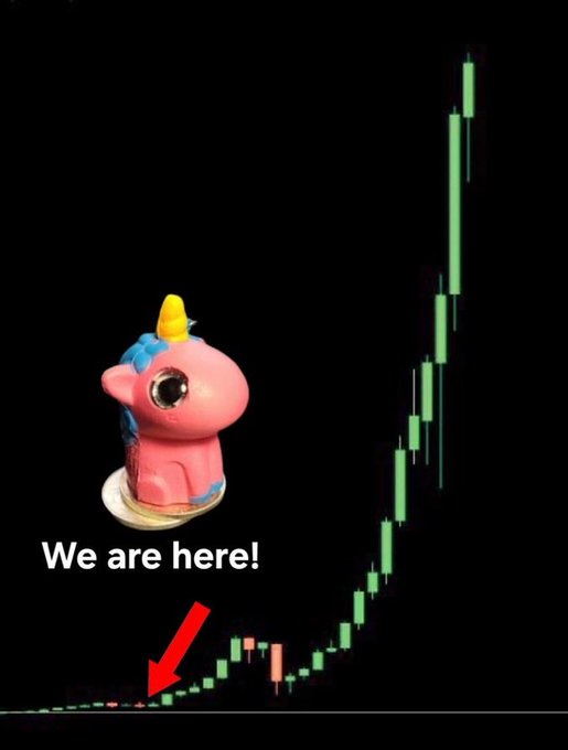 A meme featuring a small pink unicorn figurine labeled 'We are here!' with a red arrow pointing to the early flat stage of a candlestick chart that then rises sharply in green, humorously indicating accumulation before a major price breakout.