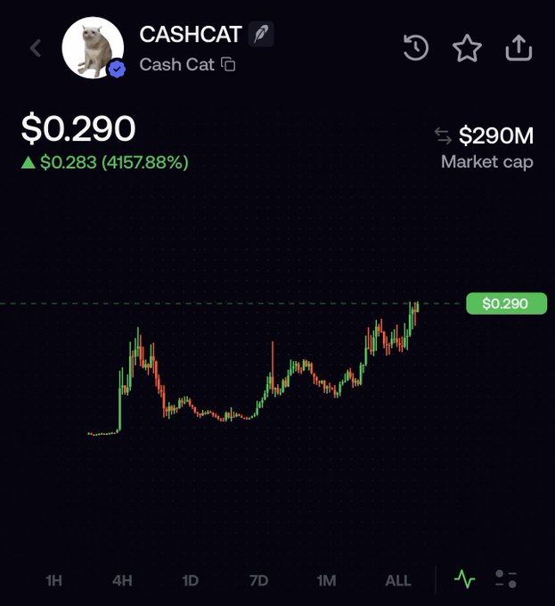 A cryptocurrency chart for CASHCAT (Cash Cat) shows a price of $0.290, up from $0.283 (4157.88%), with a $290M market cap on the ALL timeframe.