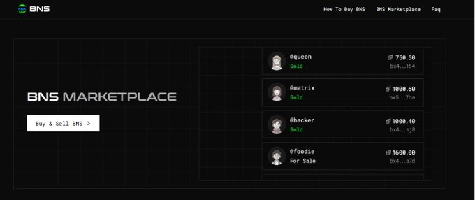 The image shows a "BNS MARKETPLACE" interface where users can buy and sell Beldex Name Service (BNS) usernames, displaying listings like @queen sold for 750.50 BDX, @matrix sold for 1000.60 BDX, @hacker sold for 1000.40 BDX, and @foodie for sale at 1600.00 BDX. This relates to the post by showcasing how BNS provides users with simple, purchasable digital identities on the Beldex network, supporting the project's focus on practical privacy use cases.