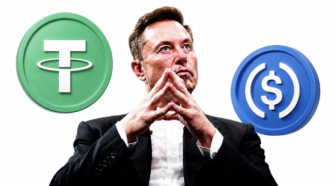 Elon Musk is pictured in a thoughtful pose between the Tether (T) and USDC ($) logos, illustrating X's reported discussions to adopt leading stablecoins like USDC for paying creator rewards.