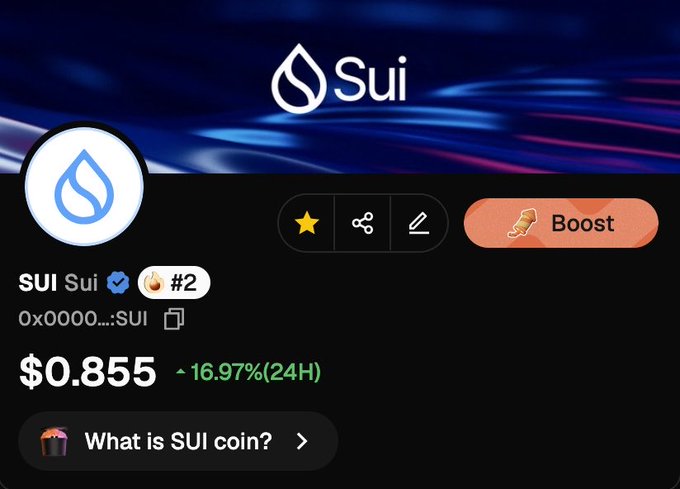The image shows a cryptocurrency token page for SUI, priced at $0.855 with a 24-hour gain of 16.97%, ranked #2. The accompanying post's optimistic "$100 by Q2 2029" prediction contrasts sharply with SUI's current sub-$1 price, with the image providing visual evidence of how far the token would need to rally to reach that target.