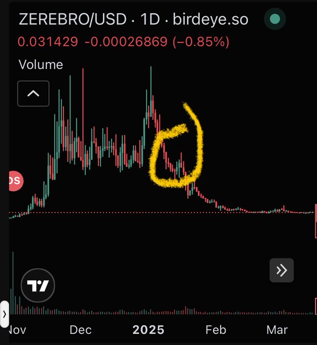A 1D Birdeye chart of ZEREBRO/USD showing a price of 0.031429 (-0.85%) illustrates a classic "blow-off top" pattern, with a circled late-December spike followed by a steep collapse to near-zero levels by March 2025, exemplifying the meme coin pump-and-dump trajectory referenced in the post about recent runners.