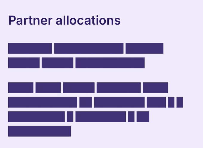 A purple and lavender presentation slide titled 'Partner allocations' with the text replaced by dark purple rectangular blocks.