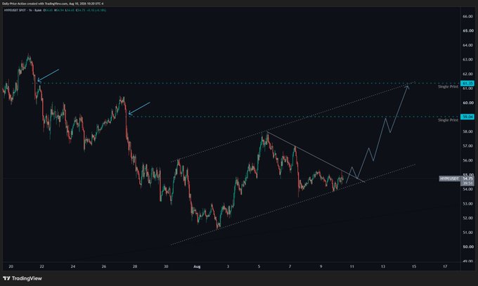 A TradingView candlestick chart of HYPE/USDT on the 4-hour timeframe shows price consolidating within an ascending triangle pattern, with key horizontal resistance levels marked at $59 (Target 1) and $61 (Target 2) and a blue arrow projecting a potential breakout above the $55.30 trigger level. The chart visually supports the post's bullish setup for an 8-12% rally on HYPE.