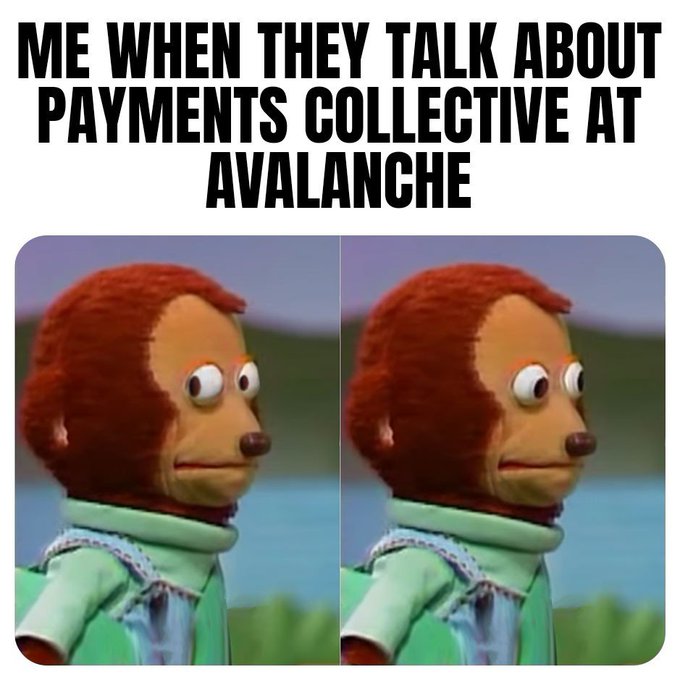 A meme with the caption 'ME WHEN THEY TALK ABOUT PAYMENTS COLLECTIVE AT AVALANCHE' featuring two side-by-side images of a confused-looking monkey puppet.