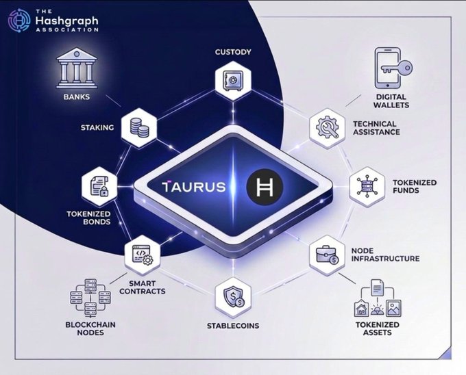 An infographic from The Hashgraph Association showing Taurus (H) at the center, surrounded by ecosystem components including Banks, Custody, Digital Wallets, Staking, Technical Assistance, Tokenized Funds, Tokenized Bonds, Node Infrastructure, Smart Contracts, Stablecoins, Blockchain Nodes, and Tokenized Assets.