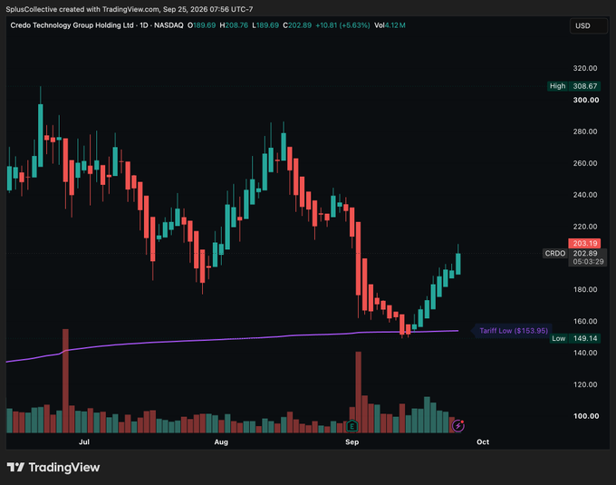 A TradingView candlestick chart of Credo Technology Group Holding Ltd ($CRDO) on NASDAQ shows the stock at $202.89, up 5.63% (+$10.81), with a 52-week high of $306.67, a tariff low at $153.95, and a purple "cables" Avwap trendline still trending upward beneath recent price action. The chart visualizes the post's point that despite profitable gains since the Avwap test, the purple Avwap support line indicates more upside potential remains.