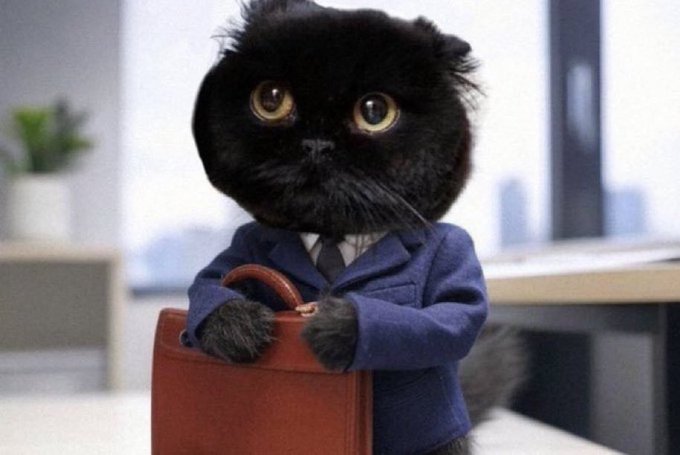 A black Persian cat in a blue business suit holds a brown briefcase in an office setting. The image humorously presents the cat as a serious professional investor, reinforcing the post's bullish sentiment on ETH (Ethereum) by portraying a composed, corporate "cat investor" ready to profit.