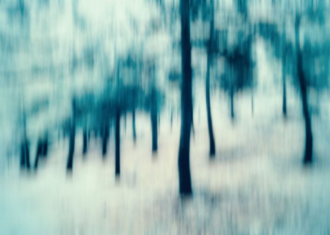 An abstract, blurred image of tree trunks in a forest rendered in muted teal and cream tones.
