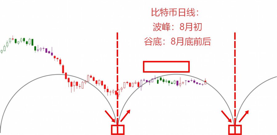 A candlestick chart annotation titled "比特币日线" (Bitcoin Daily Line) marking a peak ("波峰：8月初" / Early August) and projected trough ("谷底：8月底前后" / Around late August), with two red boxes and arrows highlighting low points at cycle bottoms on the sine-wave-like price curve.

The image illustrates the article's thesis that Bitcoin reached a short-term peak in early August and is now pulling back, with the chart's annotated low points (red boxes at the troughs of the wave) pointing toward the next potential buying opportunities near late August.
