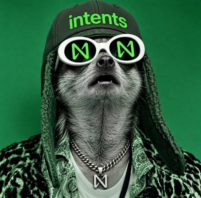 A dog dressed in a hat labeled "intents," white sunglasses with green "N" logos, a silver chain necklace with an "N" pendant, and a patterned shirt, set against a green background.