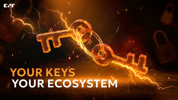 A glowing, electrified key is intertwined with a chain link against a fiery orange background, symbolizing the fusion of self-custody and ecosystem connectivity. The text "YOUR KEYS YOUR ECOSYSTEM" is prominently displayed, reinforcing the message of the CZR Wallet branding visible in the corner.