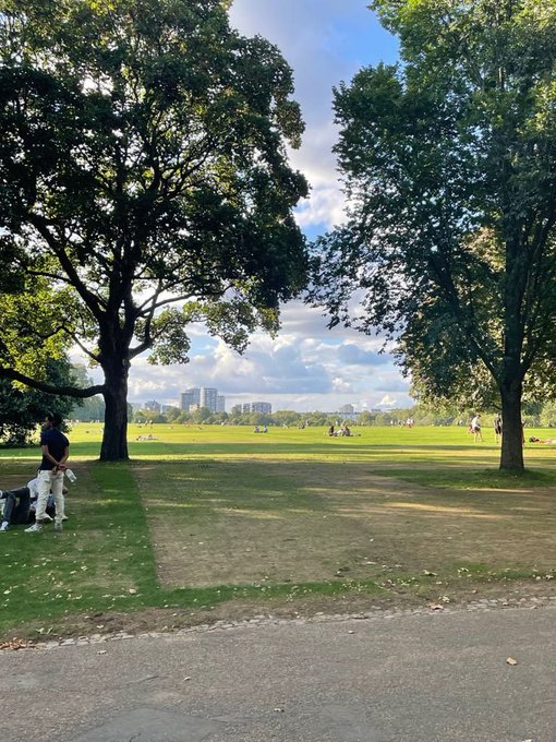 A scenic park view with large green trees framing an open grassy field where people relax on a sunny day.