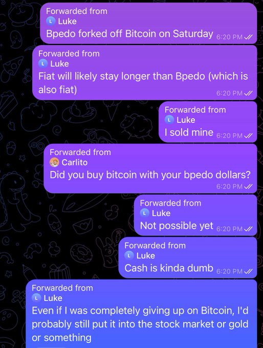 The image shows a series of forwarded Telegram messages from "Luke" discussing cryptocurrency, in which he claims to have sold his Bitcoin after Bpedo forked off Bitcoin, argues fiat will outlast Bpedo, and criticizes cash as "kinda dumb" while suggesting he'd move funds into stocks or gold. The accompanying post mocks "@LukeDashjr" for allegedly selling all his Bitcoin, which aligns with the messages where Luke states he sold his holdings and dismisses other crypto alternatives.