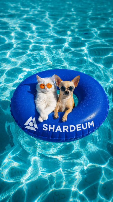 A white cat wearing orange sunglasses and a tan chihuahua relax together on a blue pool float branded "SHARDEUM," lounging in crystal-clear turquoise water—capturing the laid-back "better views" vibe of the post while showing the duo still hanging out onchain.