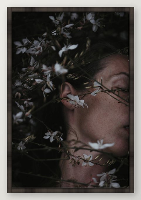 An artistic photo of a woman's face partially obscured by branches of small white flowers in a dark, moody setting with a wooden frame border.