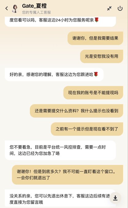 This image shows a chat conversation with Gate.io customer service where a user is inquiring about a withdrawal delay due to platform security review. The user is frustrated as their funds are held and not being processed.